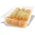 Pujadas GN gastronorm posuda 1/6, zapremina 1,40 l, visina 100 mm