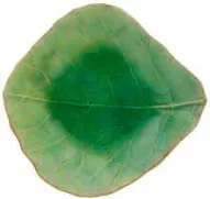 Zdjelica za dip Costa Nova Leaf Riviera 11 cm, svijetlozelena