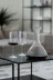 Dekanter Zwiesel Glas Vivid Senses