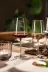 Dekanter Zwiesel Glas Vivid Senses