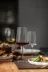 Dekanter Zwiesel Glas Vivid Senses
